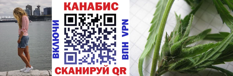 Бошки марихуана THC 21%  Шагонар 